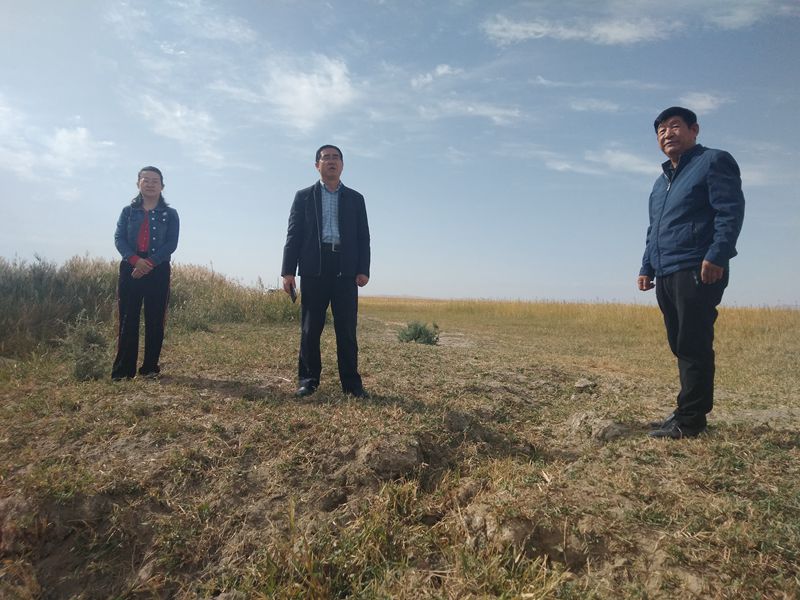 省林草局对敦煌阳关保护局2019年度平安甘肃建设工作进行考核评价(图片2)_副本.jpg